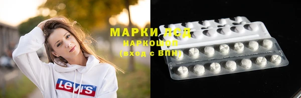 гашик Аркадак