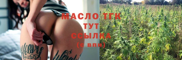 гашик Аркадак
