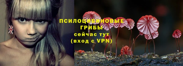 гашик Аркадак