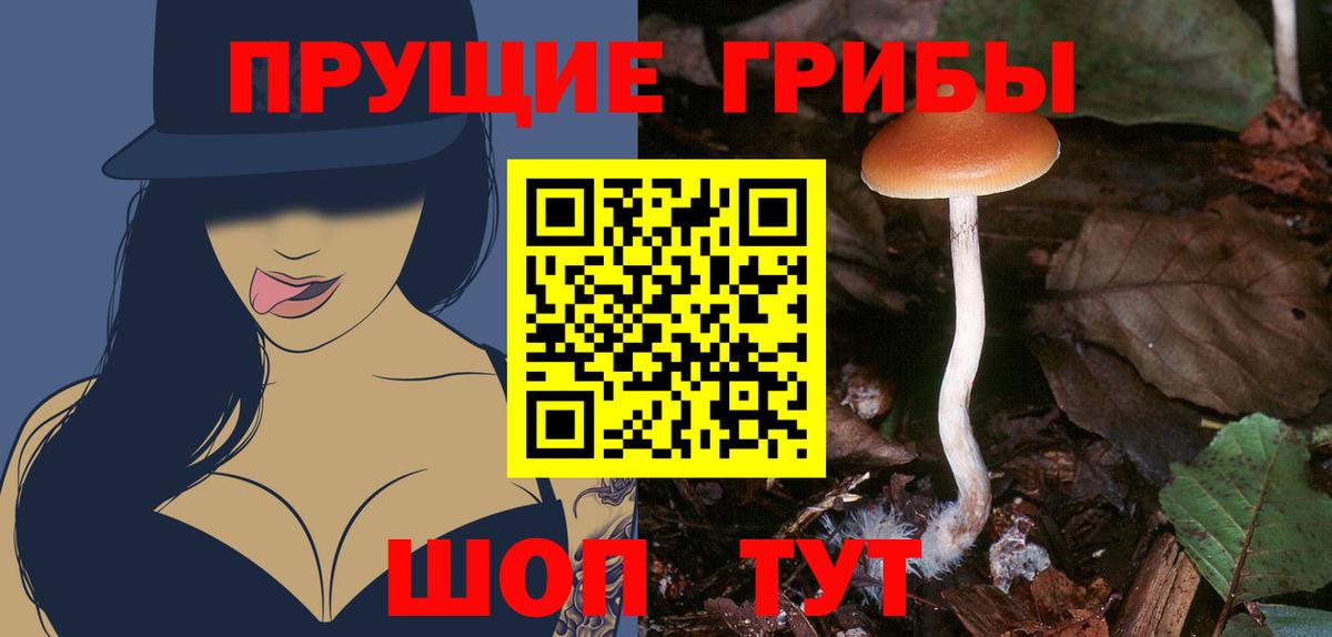 Галлюциногенные грибы Magic Shrooms  Вход с VPN  Архангельск  Галлюциногенные грибы Magic Shrooms 