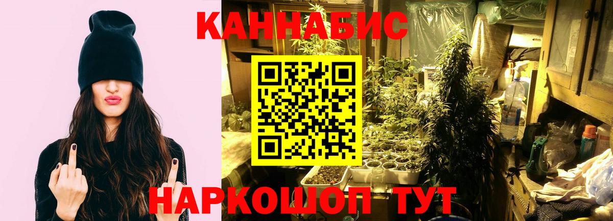 МАРИХУАНА планчик Архангельск